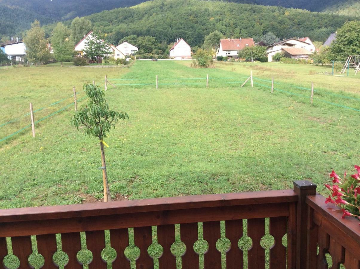 Chalet Colline Et Lou Wintzfelden Luaran gambar